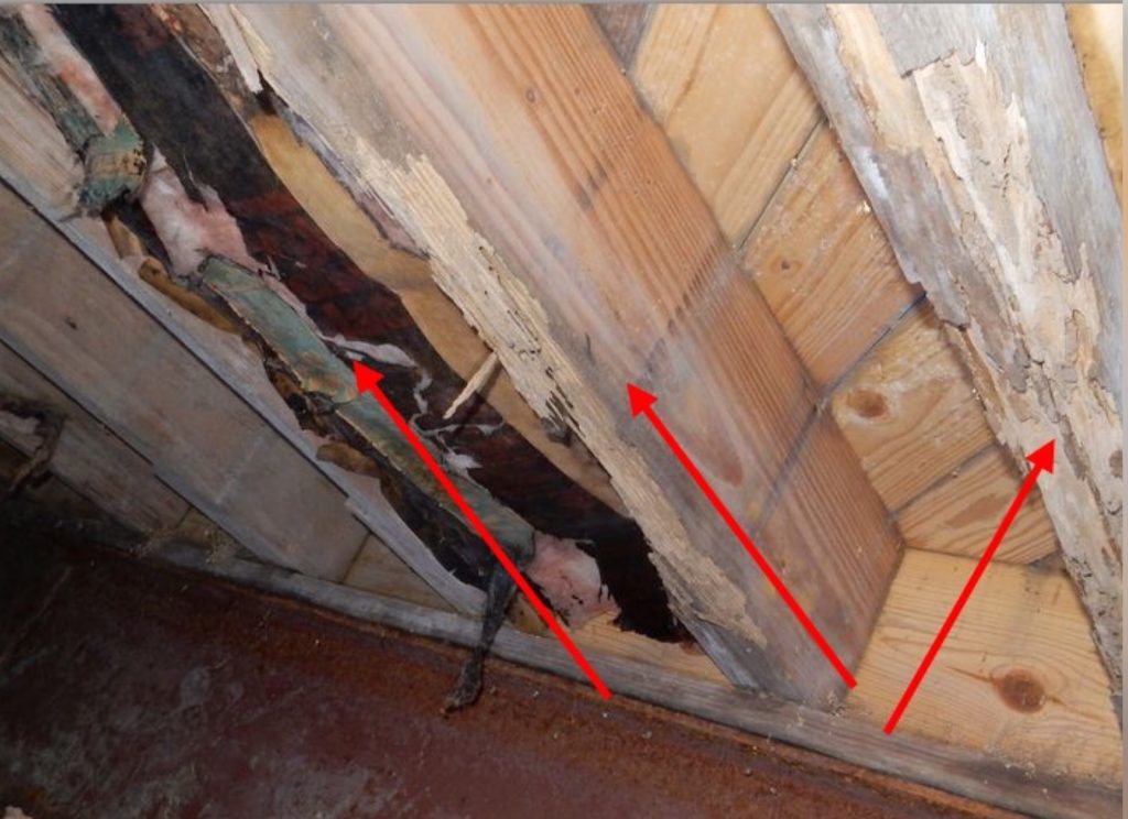 wood rot pier and beam foundation problems