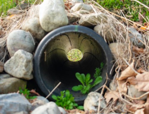 Why You Should Install And Maintain French Drains Around Foundations