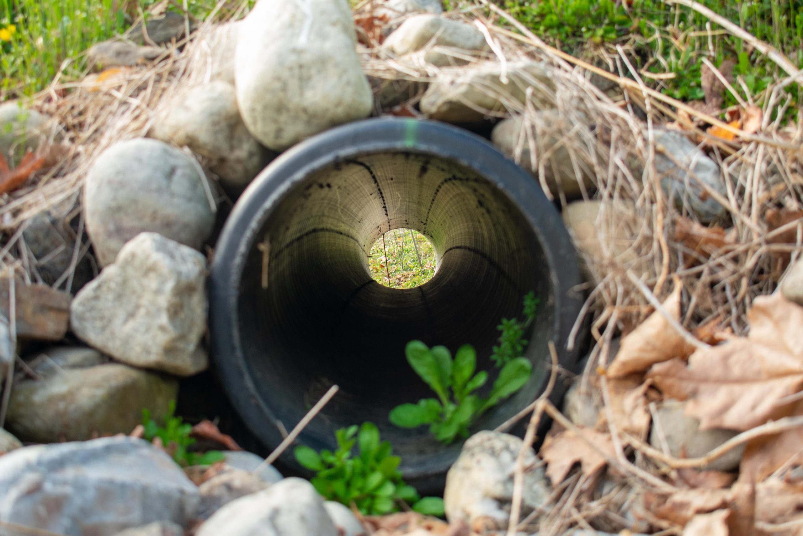 Why You Should Install And Maintain French Drains Around Foundations